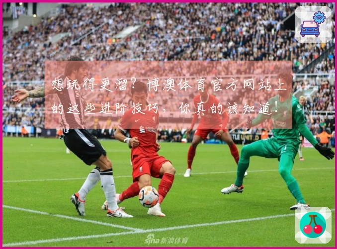 想玩得更溜？博澳体育官方网站上的这些进阶技巧，你真的该知道！
